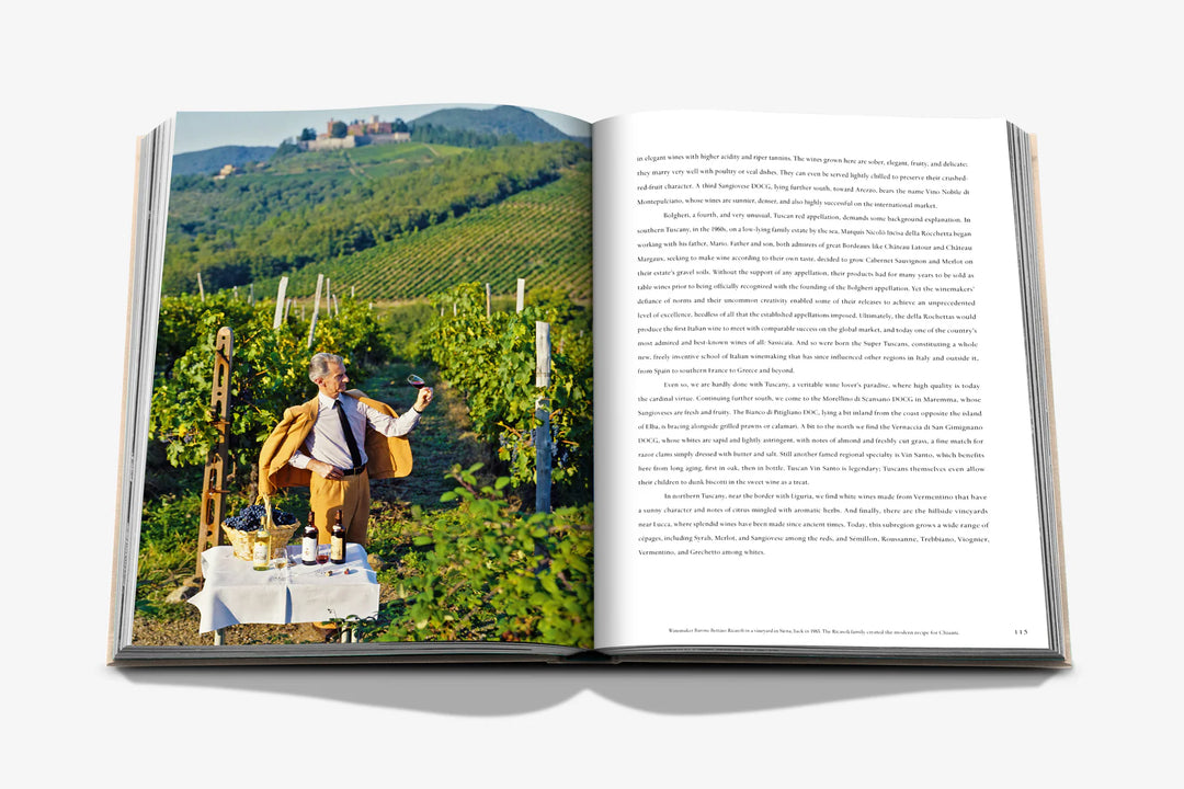 Book - Wine & Travel Italy
