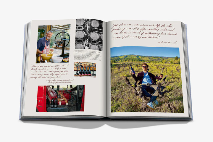 Book - Wine & Travel United States of America