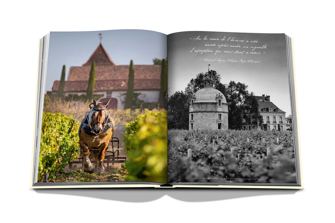 Book - Wine & Travel France
