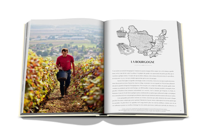 Book - Wine & Travel France
