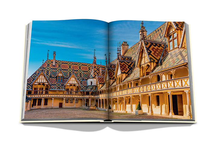 Book - Wine & Travel France