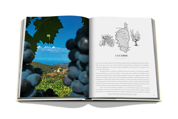 Book - Wine & Travel France