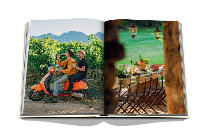 Book - Wine & Travel France
