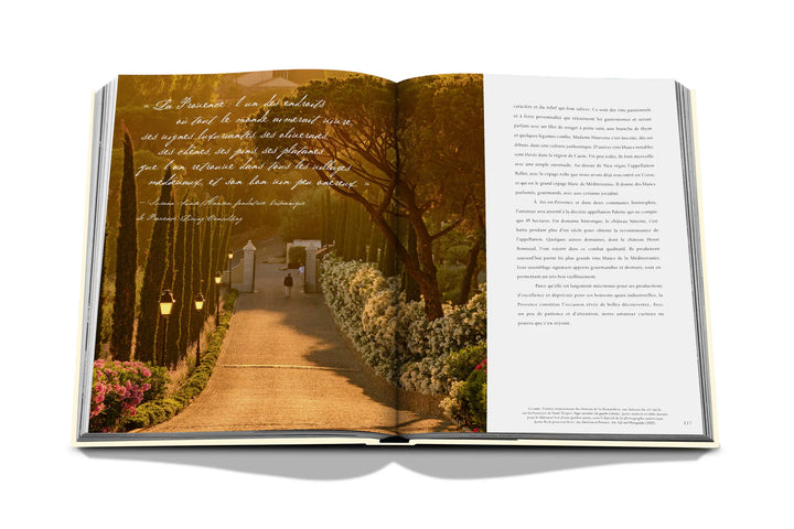 Book - Wine & Travel France