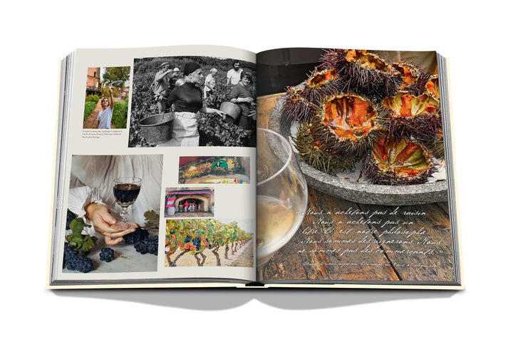 Book - Wine & Travel France