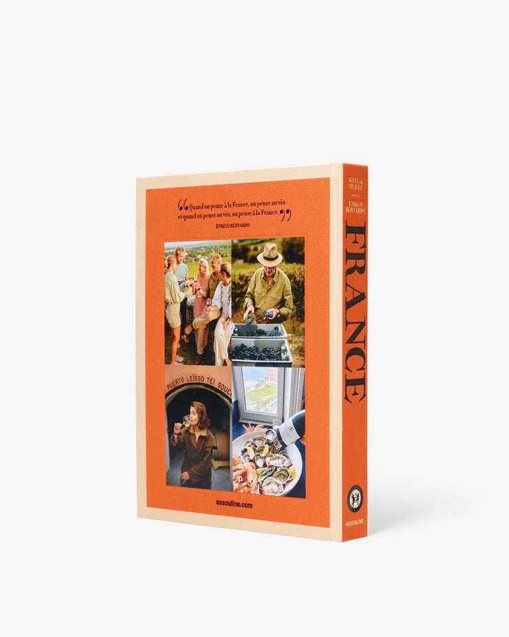 Book - Wine & Travel France