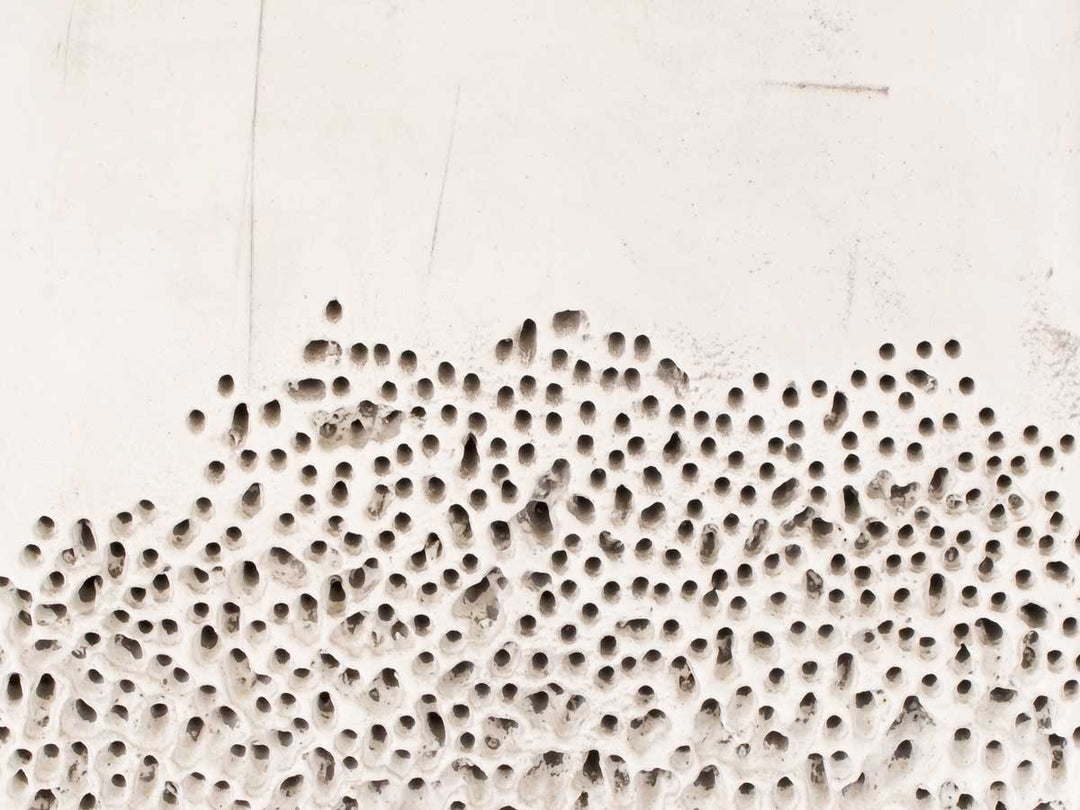 Art - Alveolizzazione