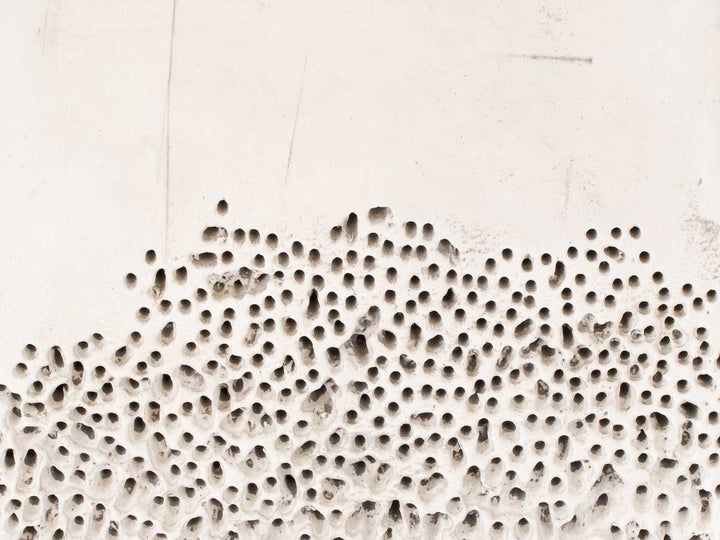 Art - Alveolizzazione