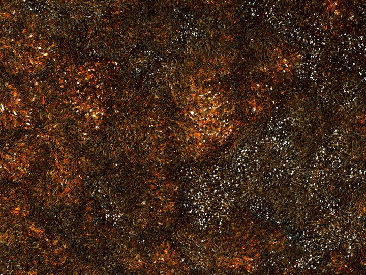 Art - Cattedrale n.33