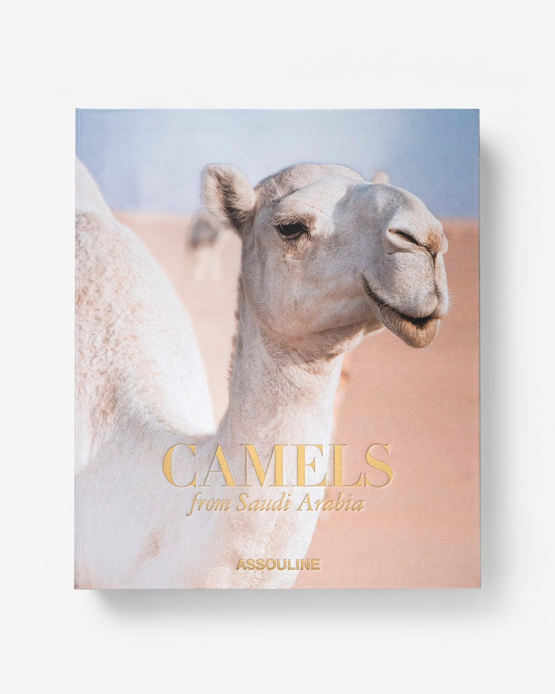 Book -  Camels From Saudi Arabia