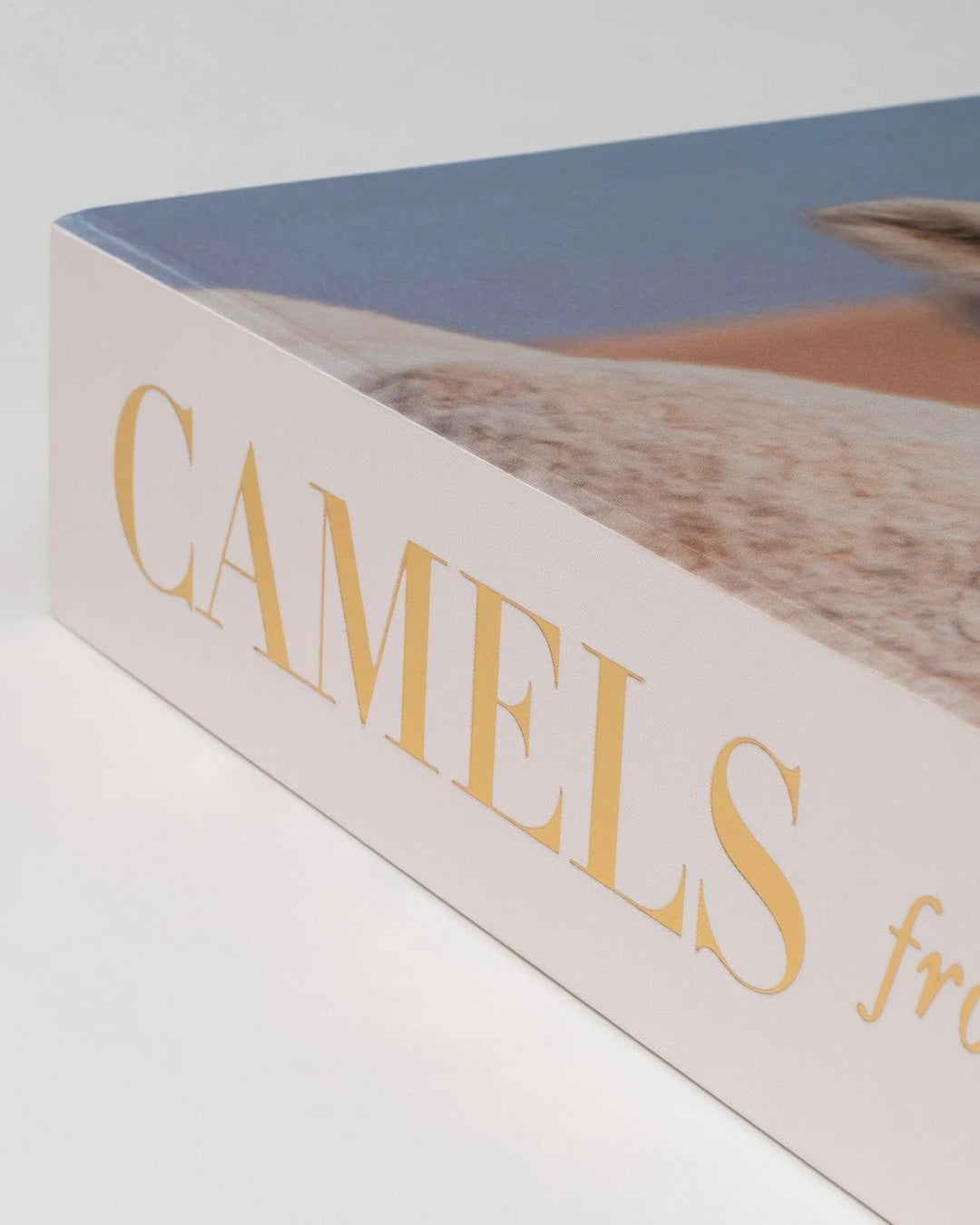 Book -  Camels From Saudi Arabia