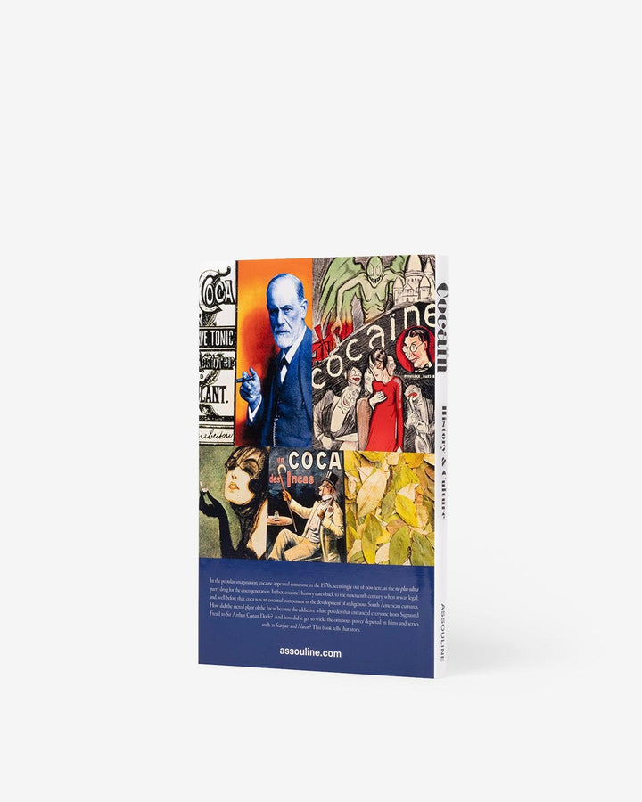 Book - Cocaïn: History & Culture
