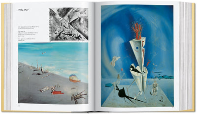 Book - Dalí. The Paintings