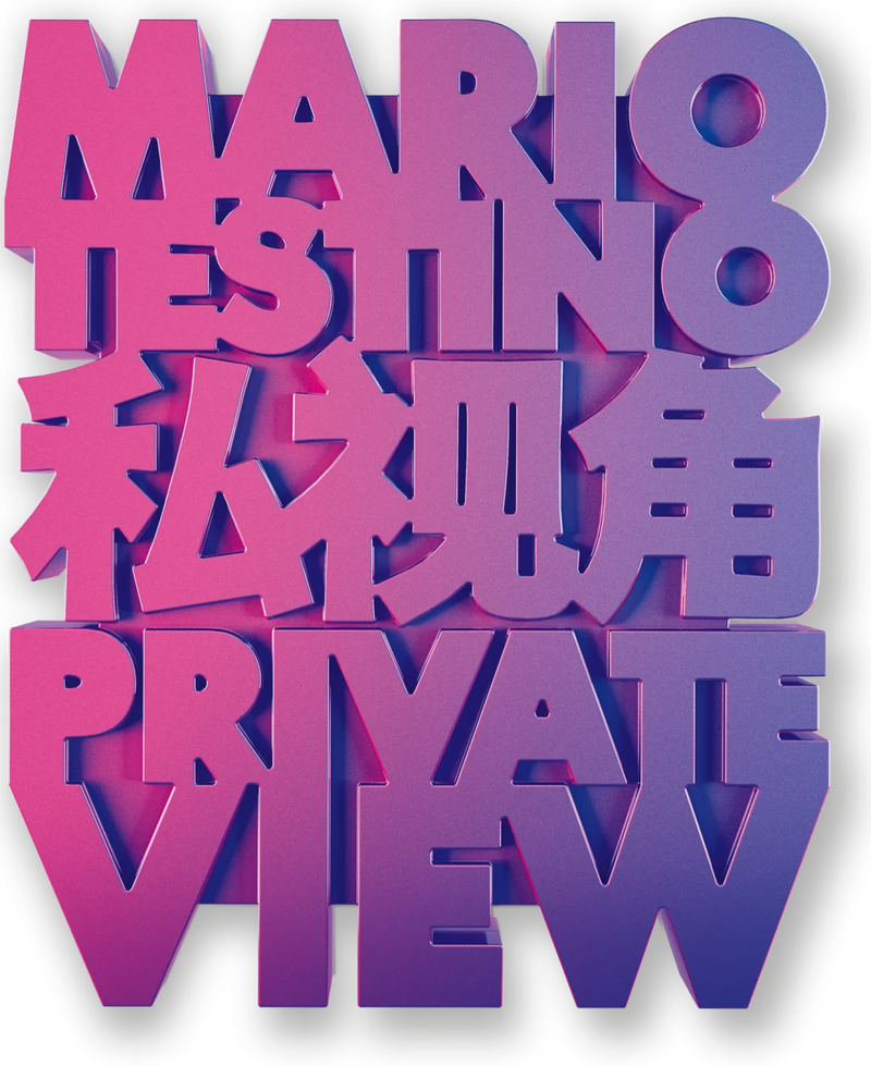 Book - Mario Testino - Private View - XXL