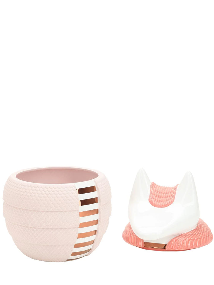 Jar - Loricato Armadillo - White Pink