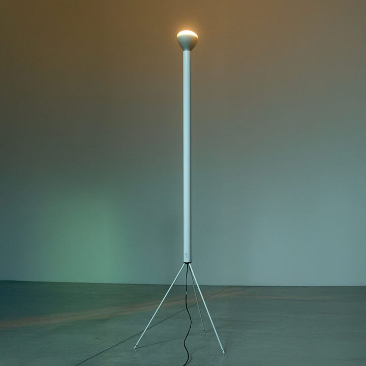 Floor Lamp - Luminator