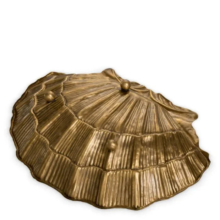Bowl - Seashell