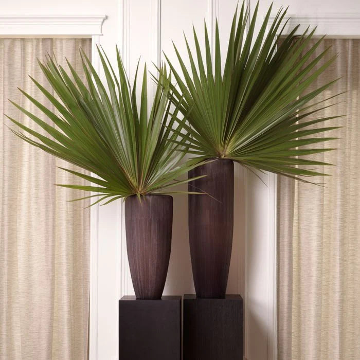 Vase - Isandro L