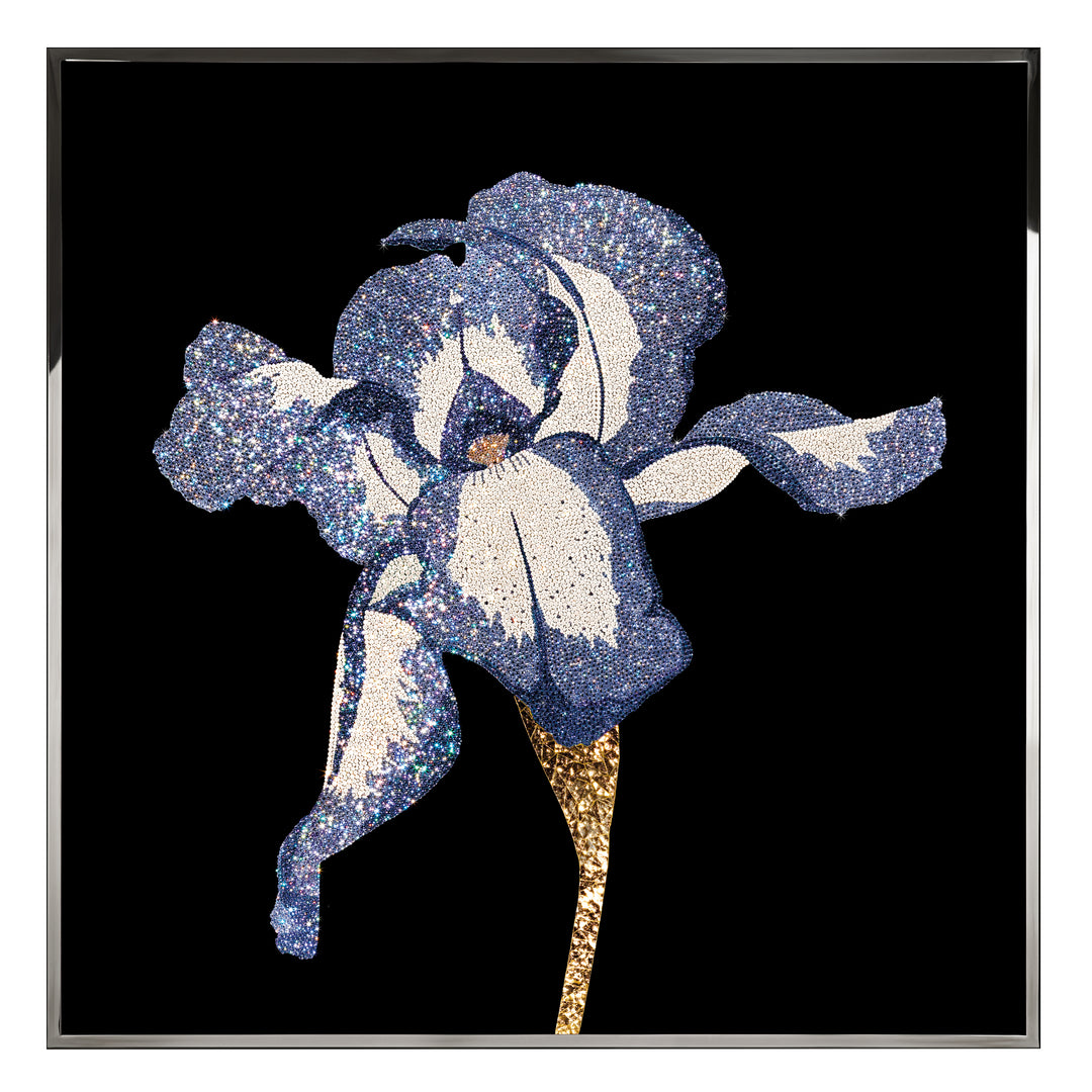 Art -Iris