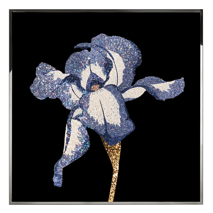 Art -Iris
