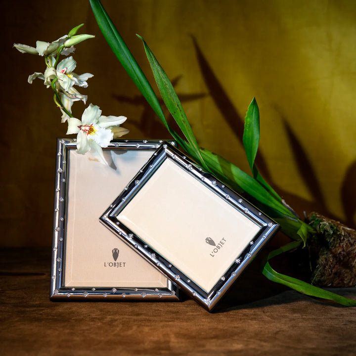 Stars Frame - Platinum - 10x15cm