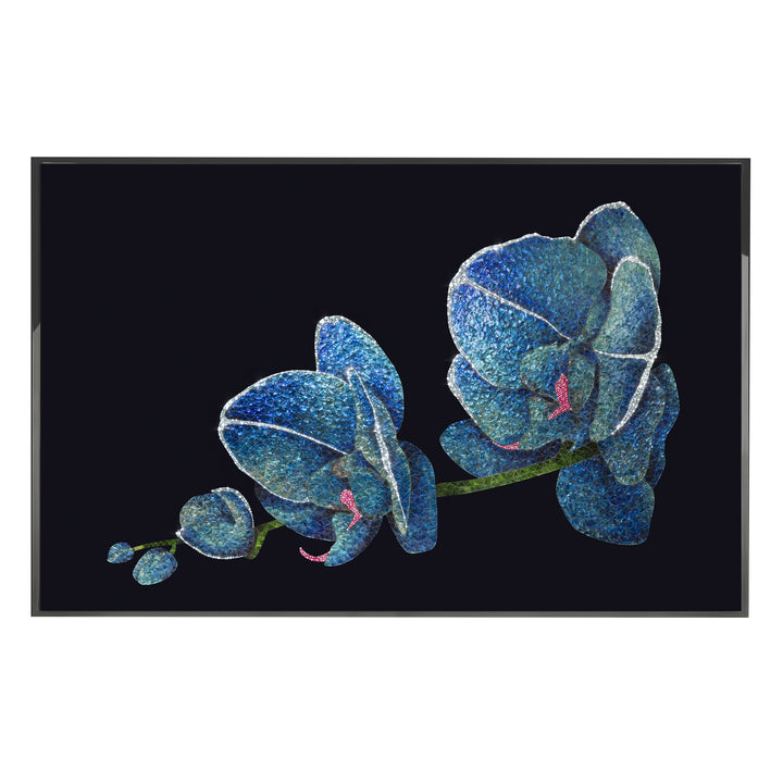 Art - Orchidea Blu