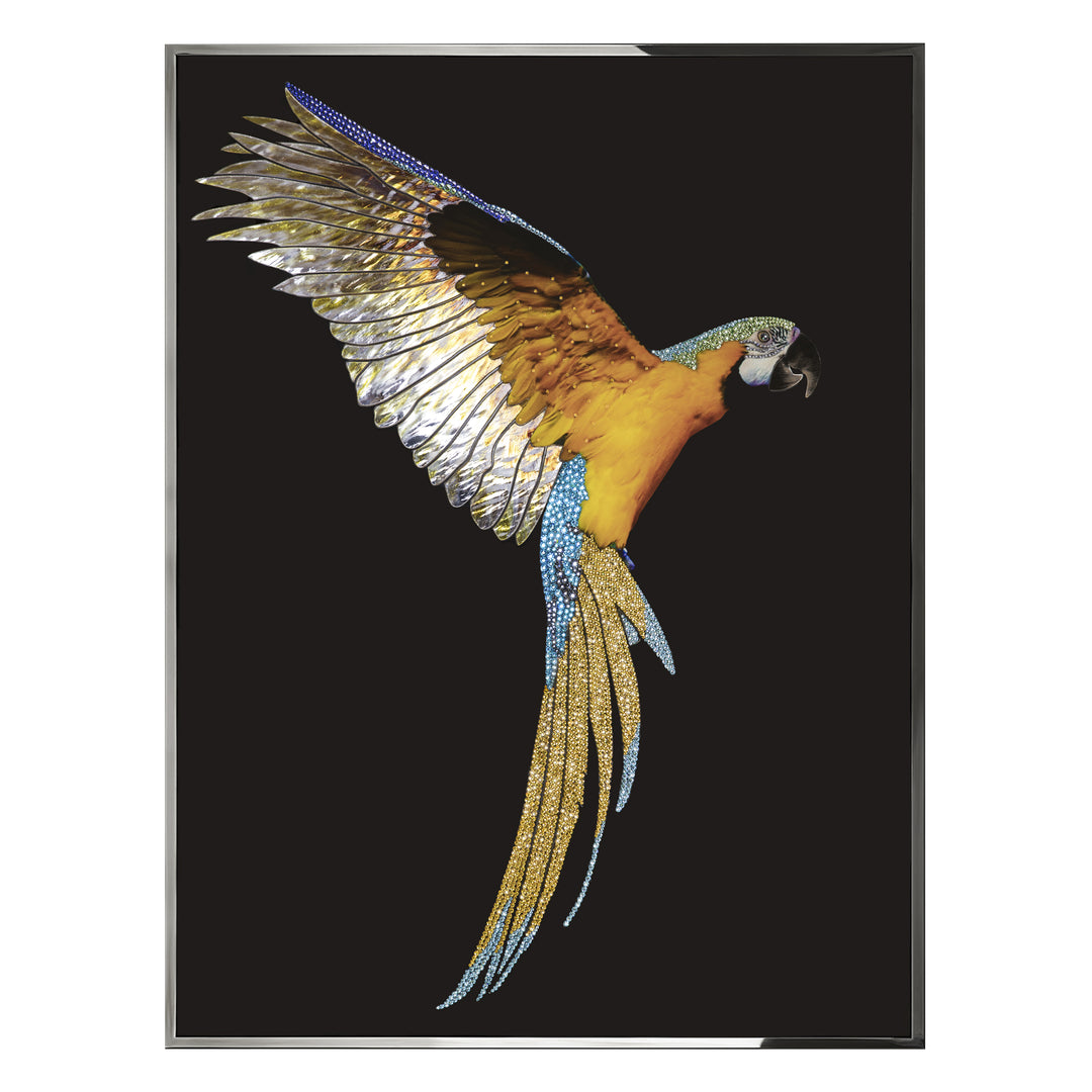 Art - Parrot Ara