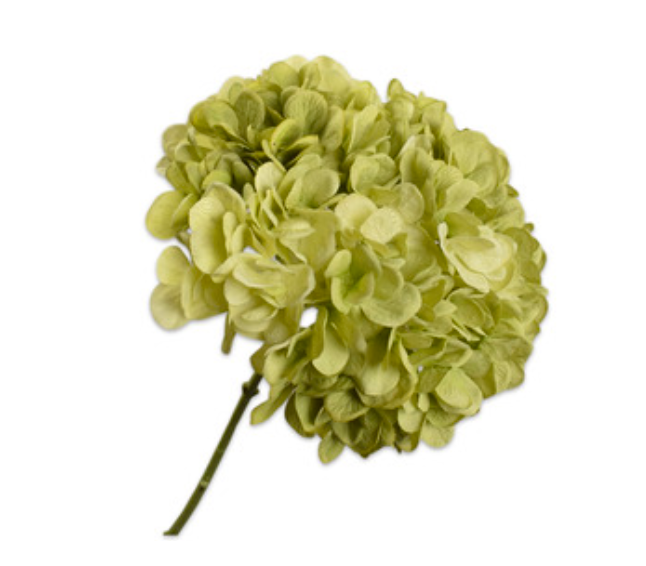 Branch - Hortensia - Green - 86cm