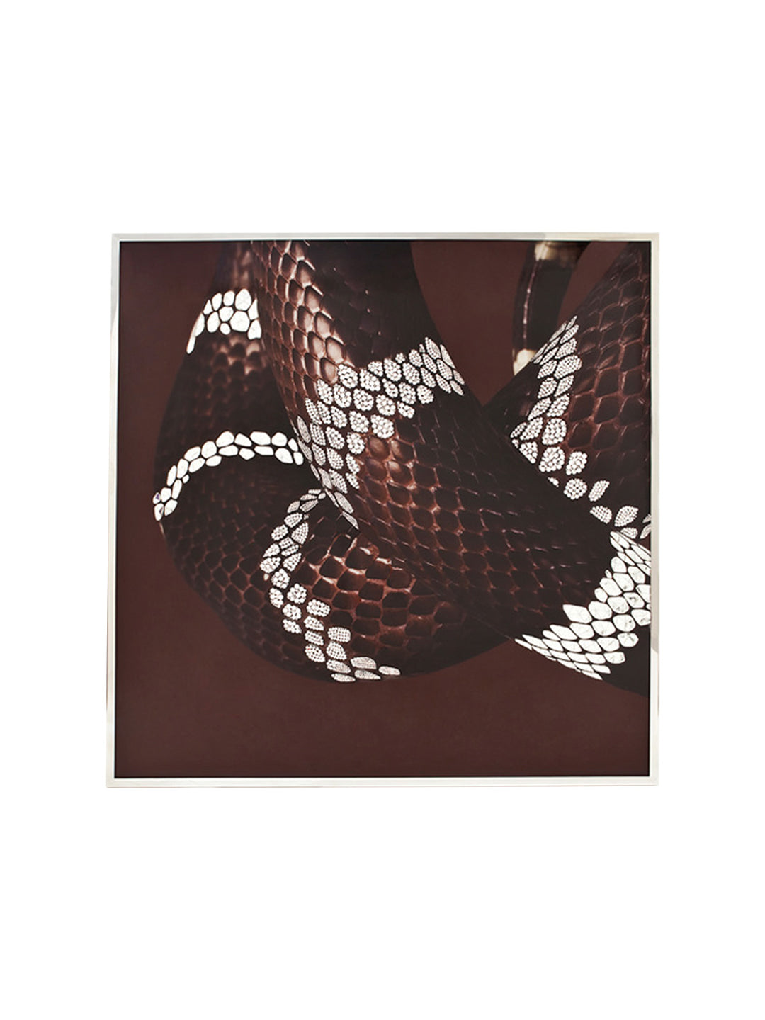 Art - Serpenti