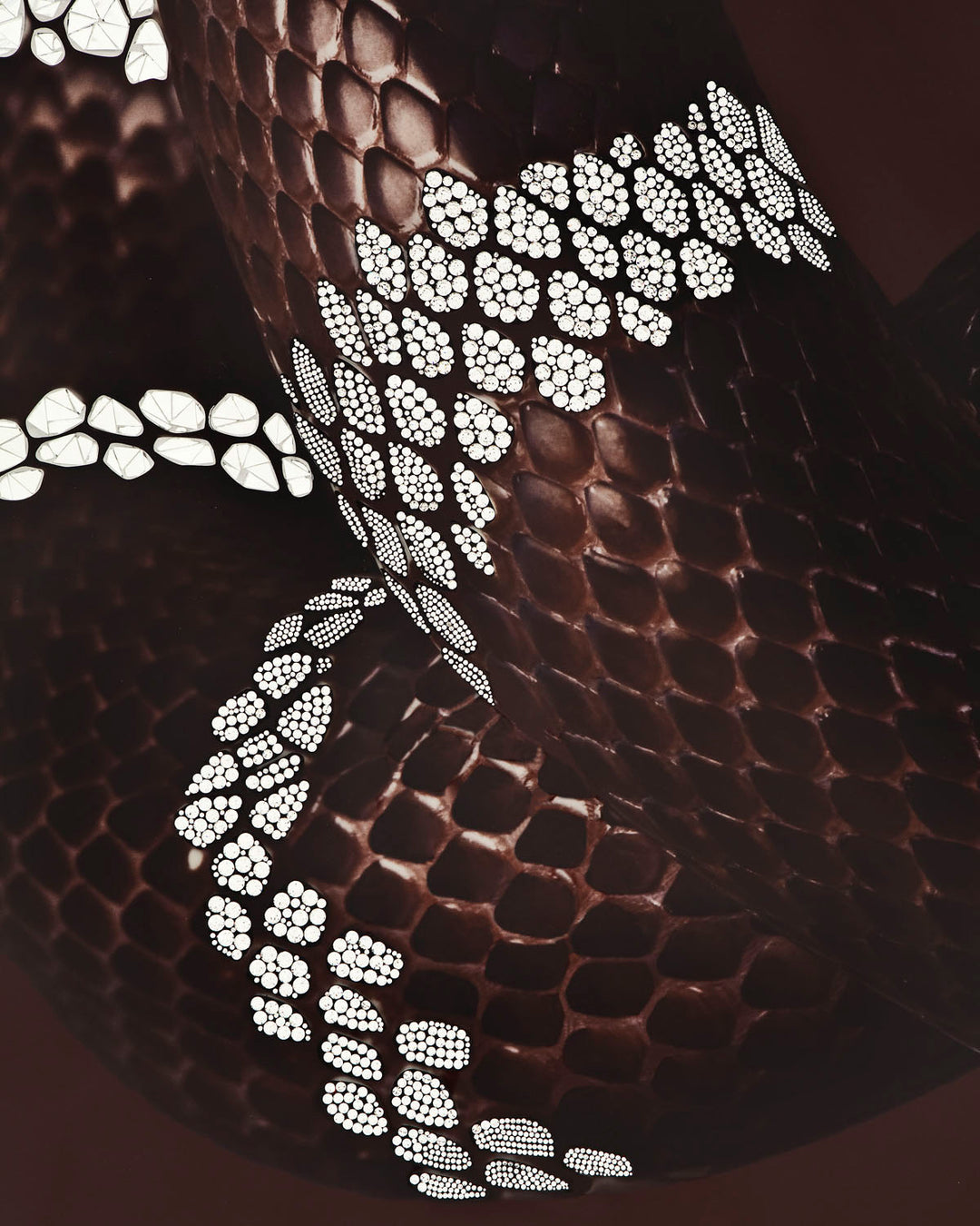 Art - Serpenti