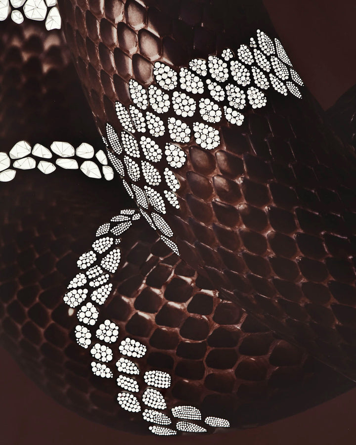 Art - Serpenti
