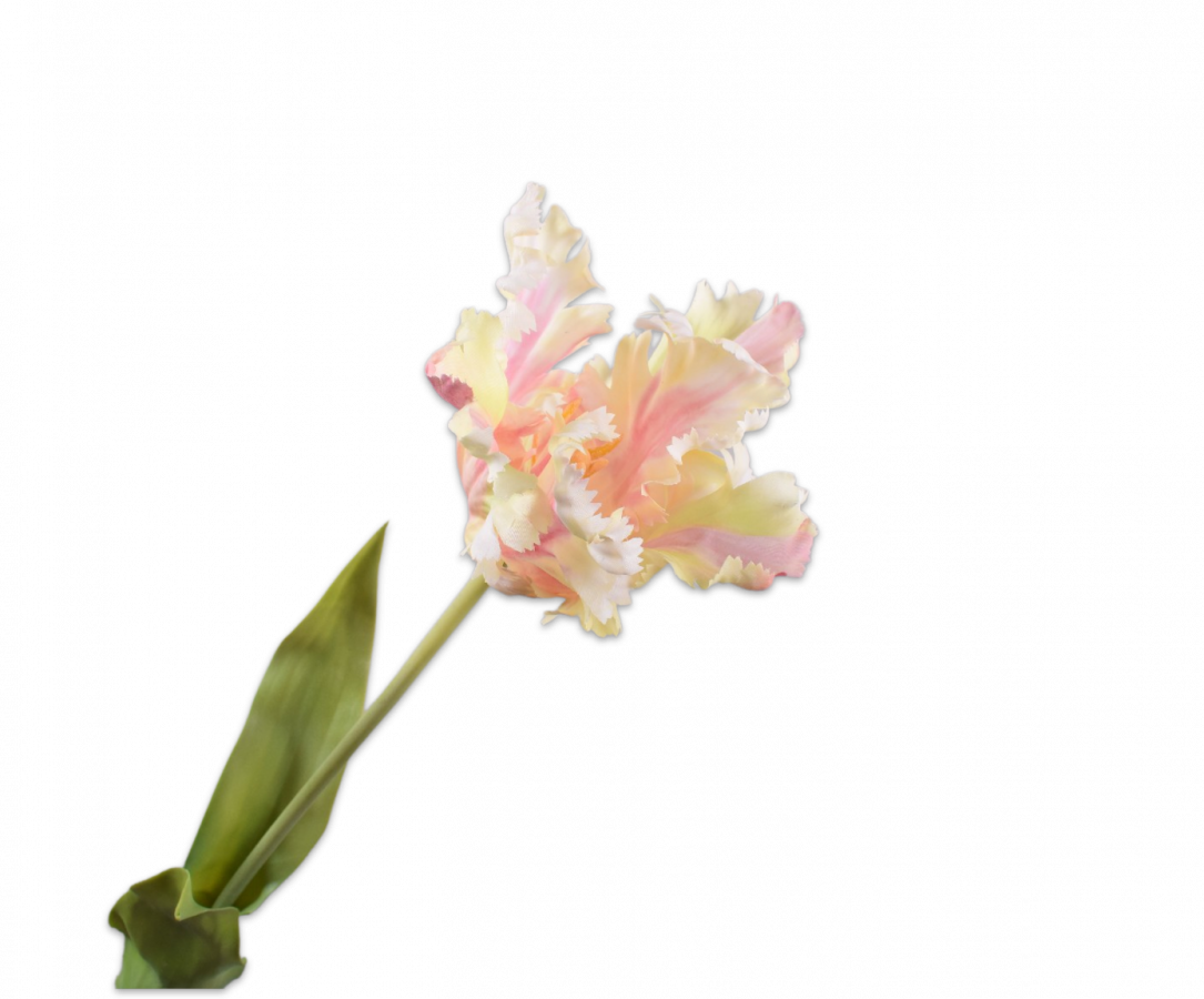 FLOWERS & VASES