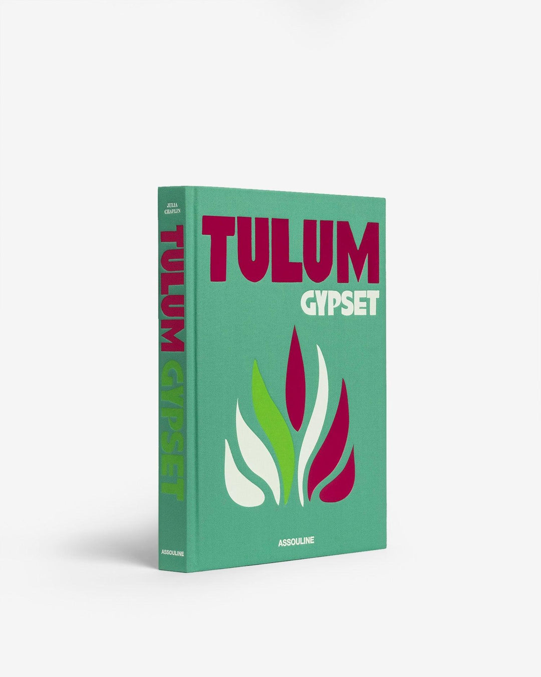 Book - Tulum Gypset