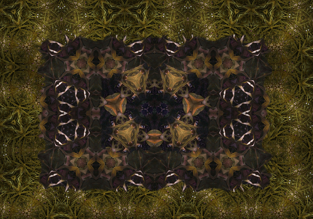 Art - Wild Green