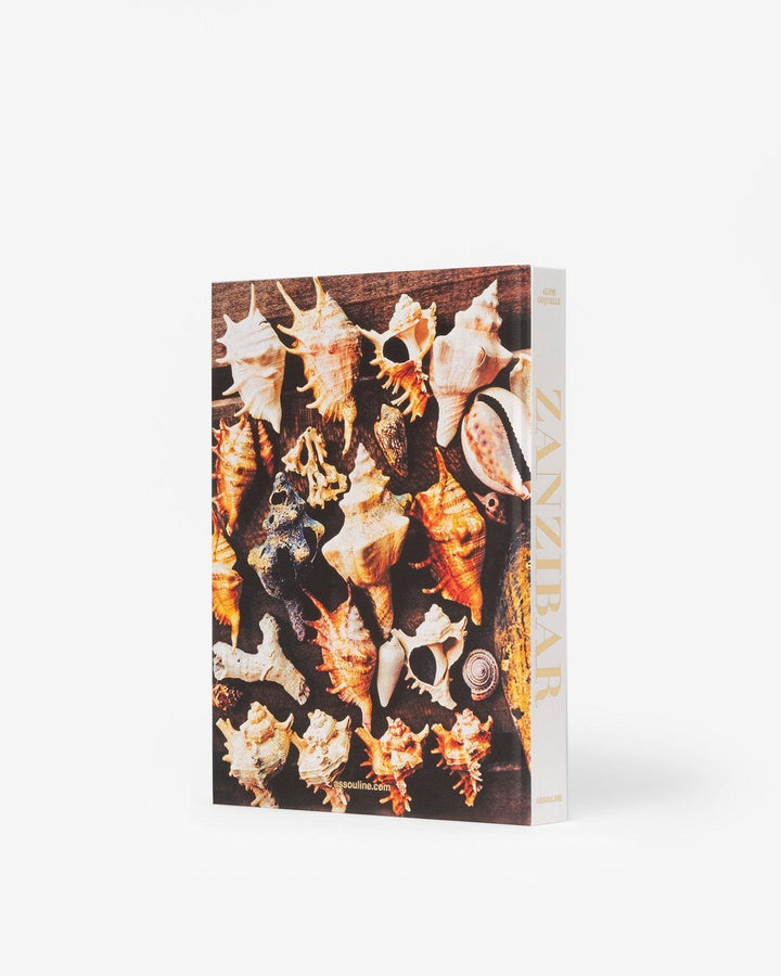 Book - Zanzibar